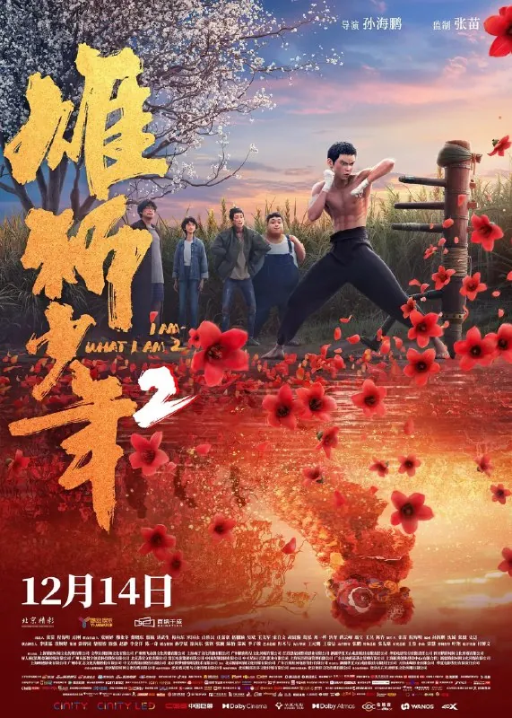 雄狮少年