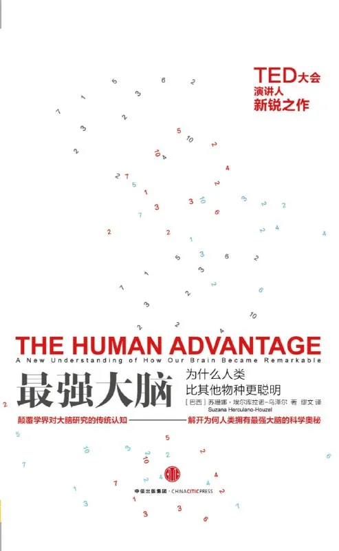 最强大脑