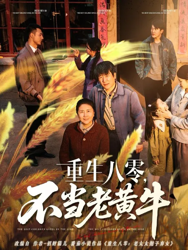 2025年5月16日合集目录6