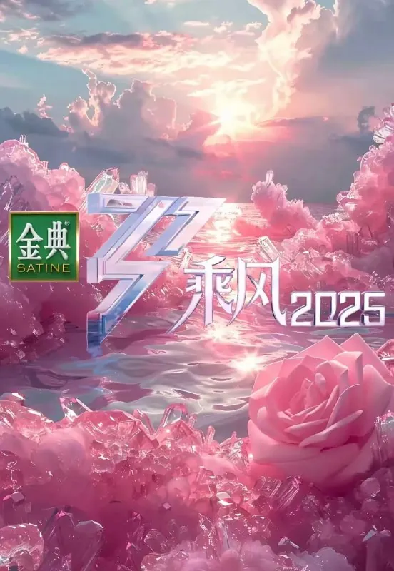乘风2025/乘风破浪的姐姐/浪姐（2025）