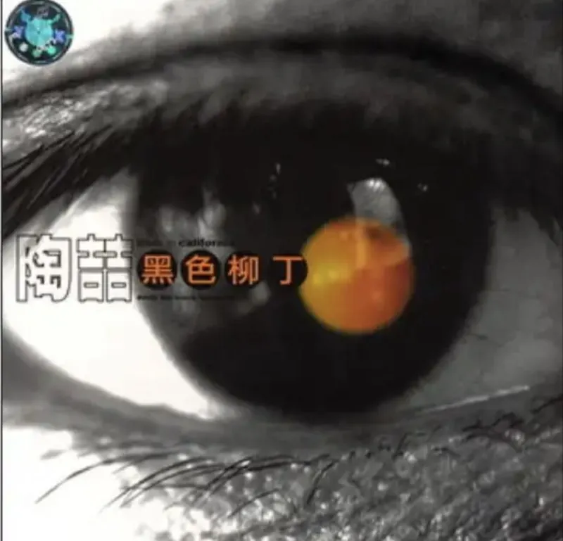 黑色柳丁