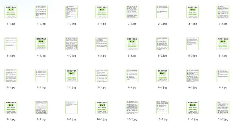 儿童专注力训练100天计划