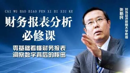 张新民：财务报表分析必修课