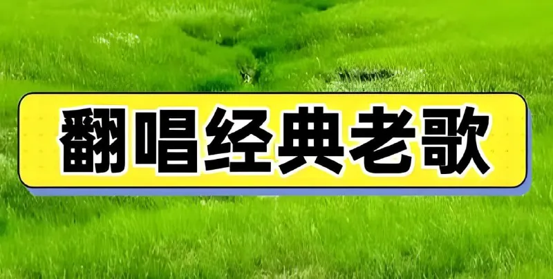 抖音老歌神级翻唱歌曲无损合集