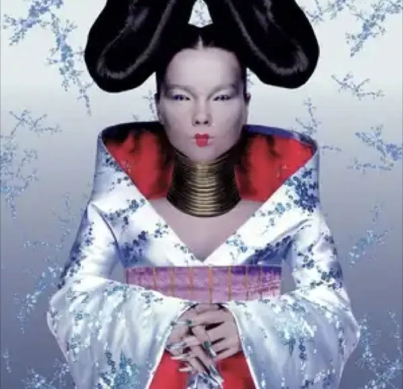Björk-Homogenic