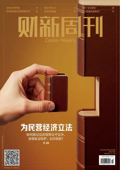 财新周刊-第15期2025年