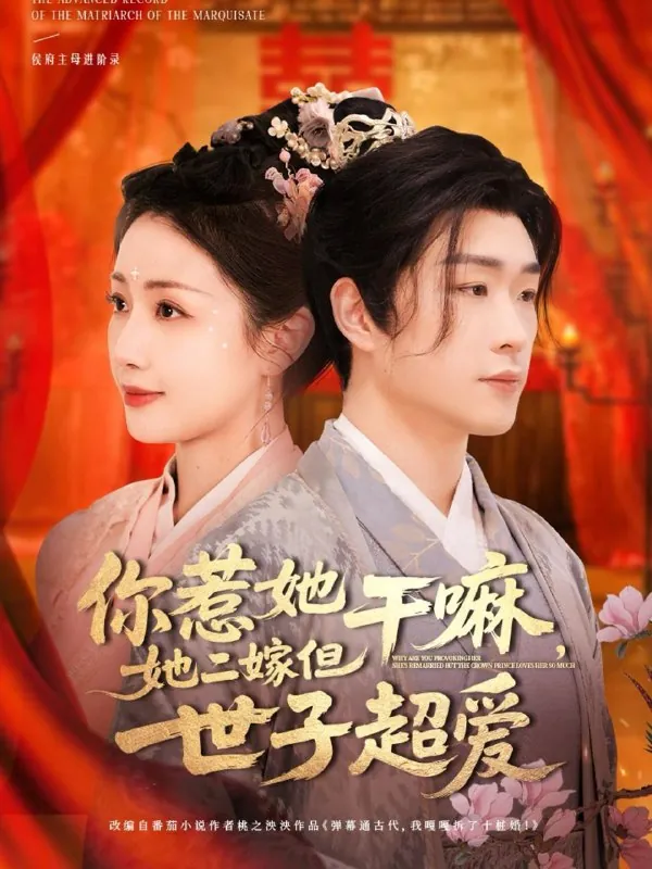 2025年5月14日合集目录1