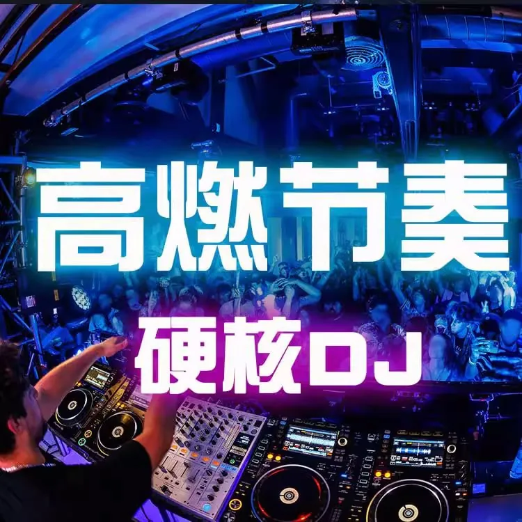 动感热烈高燃DJ舞曲合集