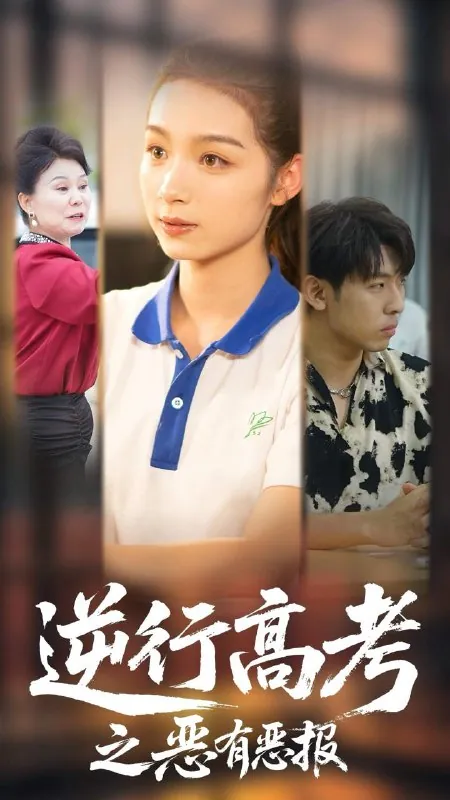2025年6月8日合集目录6