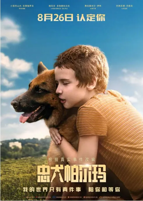 忠犬帕尔玛