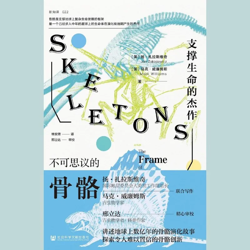 不可思议的骨骼