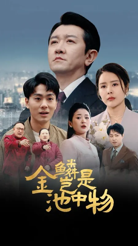 2025年6月3日合集目录8